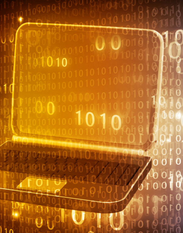 CoVerica Data Breach Investigation